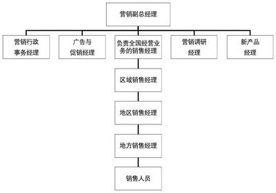 市場營銷策劃實(shí)操指導(dǎo)手冊 從戰(zhàn)略到執(zhí)行的全流程解析